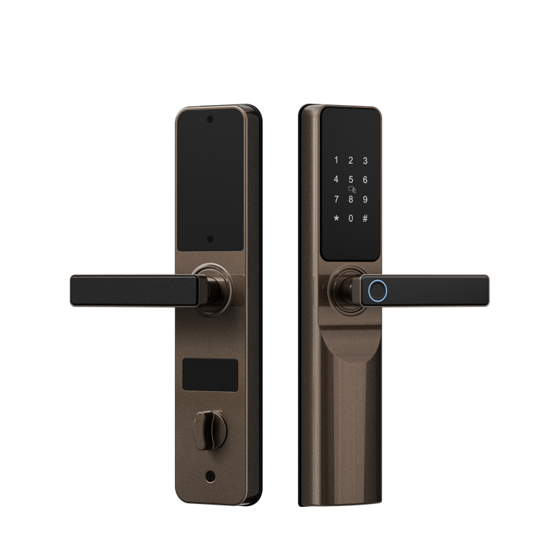 摩（mó）卡棕 拷貝.png