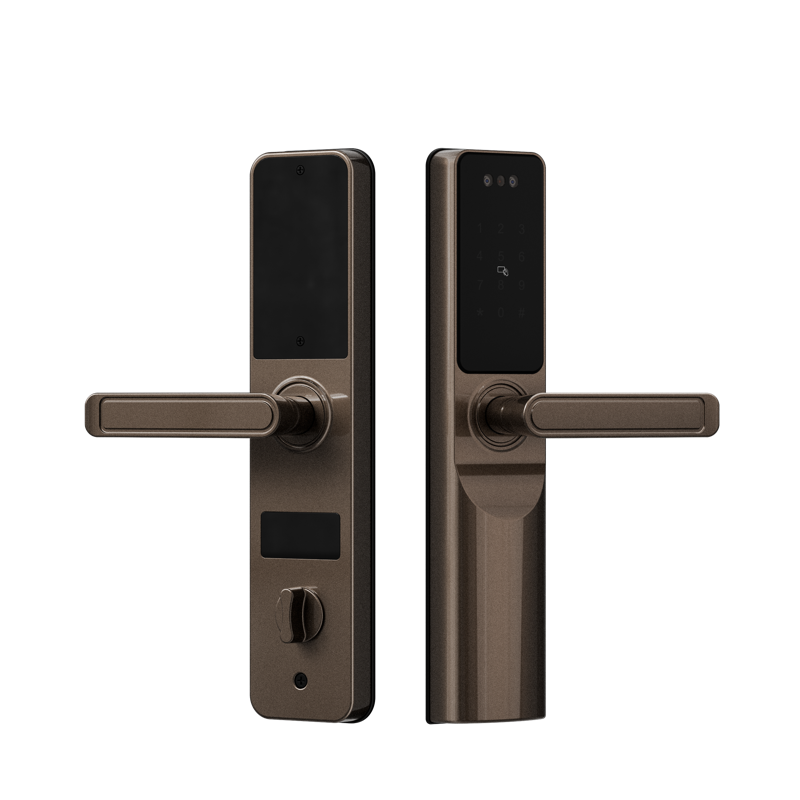 摩卡棕 拷（kǎo）貝.png