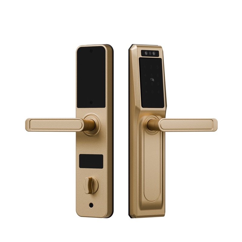 砂金 拷（kǎo）貝.jpg