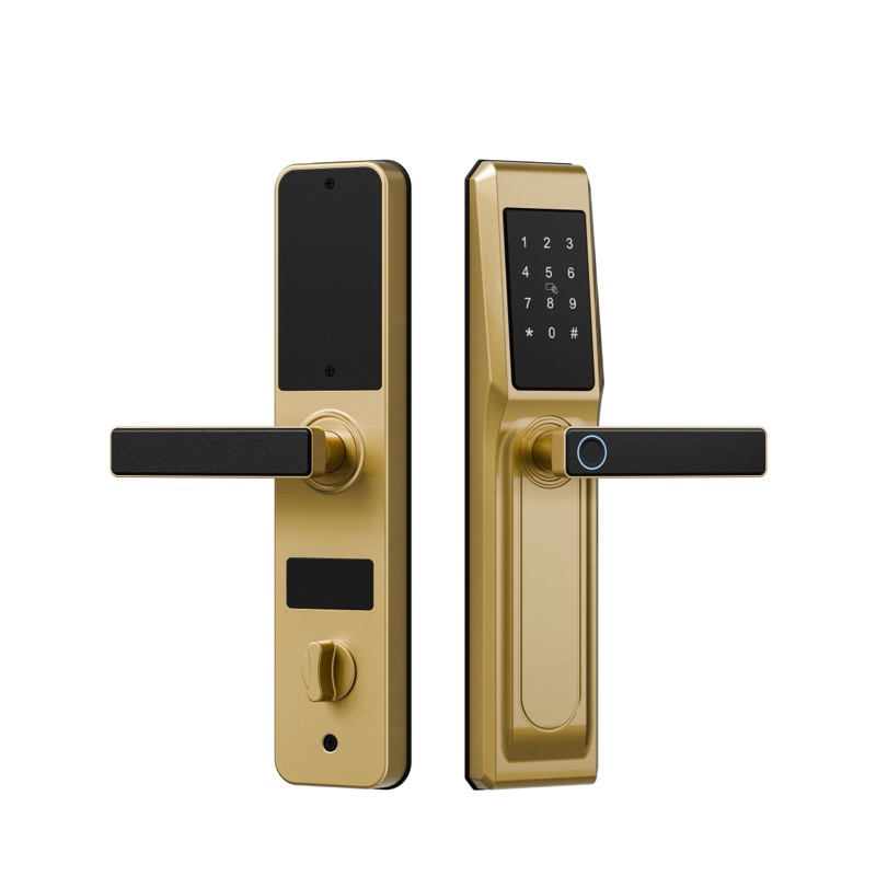 香檳金 拷（kǎo）貝.jpg