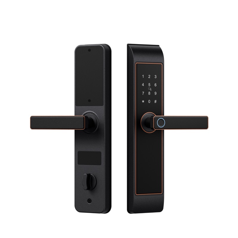 馬丁(dīng)黑雙色 拷貝.jpg 馬丁黑雙色 拷貝.jpg